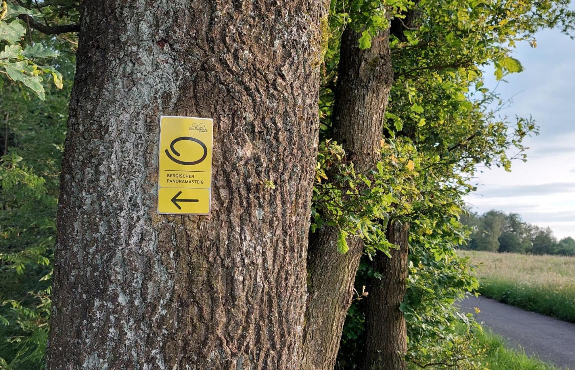 Ferienwohnung Waldbroel - Nahe Naturerlebnispark Waldbrol Luaran gambar